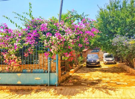 turkiye/mugla/datca/halise-apart-6b4e0205.jpeg