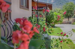 turkiye/mugla/datca/incir-apart_6ae844a2.jpg