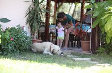 turkiye/mugla/datca/incir-apart_727d6050.jpg