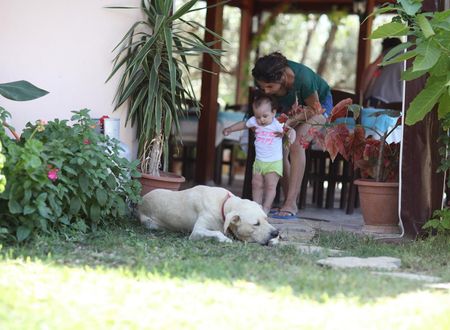 turkiye/mugla/datca/incir-apart_727d6050.jpg