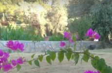 turkiye/mugla/datca/keyfi_6ff5af26.png