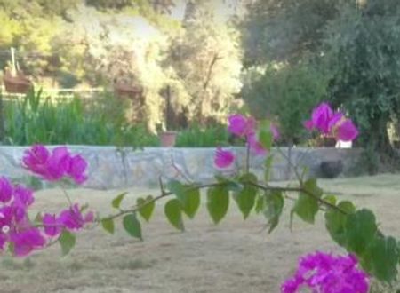 turkiye/mugla/datca/keyfi_6ff5af26.png