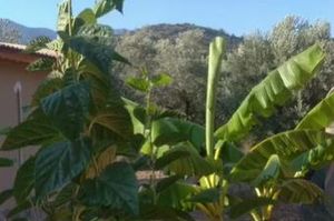 turkiye/mugla/datca/keyfi_dcd4b263.png