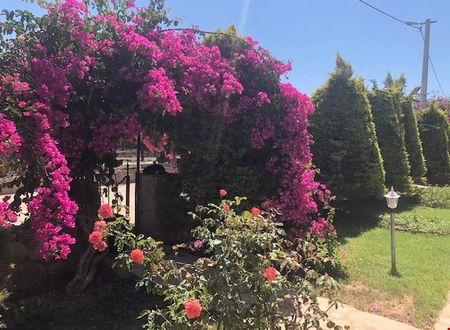 turkiye/mugla/datca/kiyi-suites-palamutbuku_2087552a.jpg