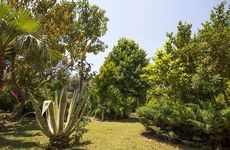turkiye/mugla/datca/kizilbuk-ahsap-evleri_ec49d566.jpg