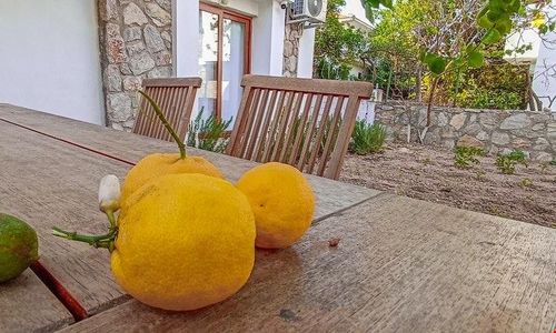 turkiye/mugla/datca/lemon-garden-apart_1d6782f1.jpg