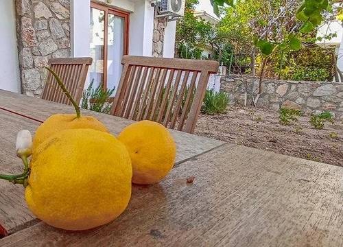 turkiye/mugla/datca/lemon-garden-apart_1d6782f1.jpg