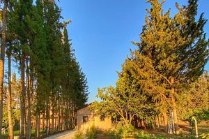 turkiye/mugla/datca/palaemon-datca-villa-pusulam_6d9a68dd.jpg