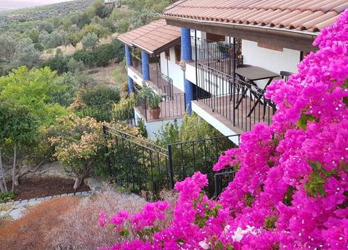 turkiye/mugla/datca/sato-triopia-boutique-hotel-0e4133d6.jpeg