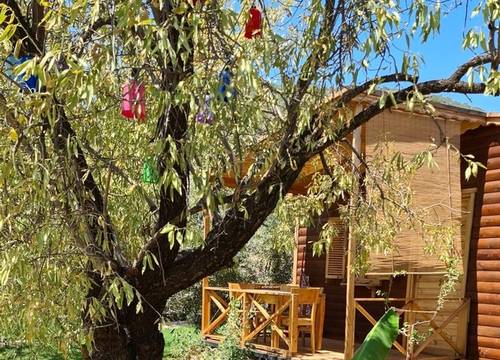 turkiye/mugla/datca/screenshot_20220107114300_photosfca8fbadb9d541558f762bc209e00fe8.jpg