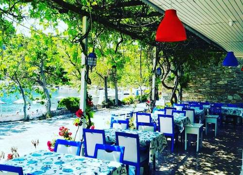 turkiye/mugla/datca/serenity-pansiyon-restoran_4a43d7c0.jpg