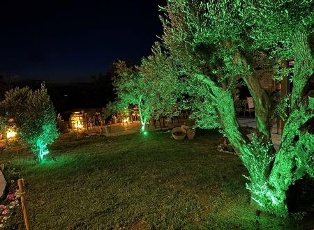 turkiye/mugla/datca/sur7_effd1e8a.jpg