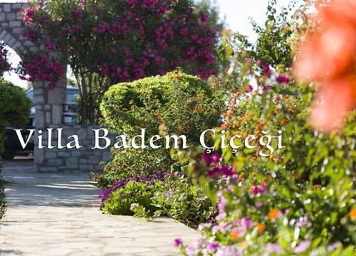 turkiye/mugla/datca/villa-badem-cicegi_73517277.jpg