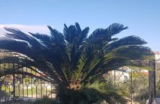 turkiye/mugla/datca/villa-karatas_57c5e107.jpg