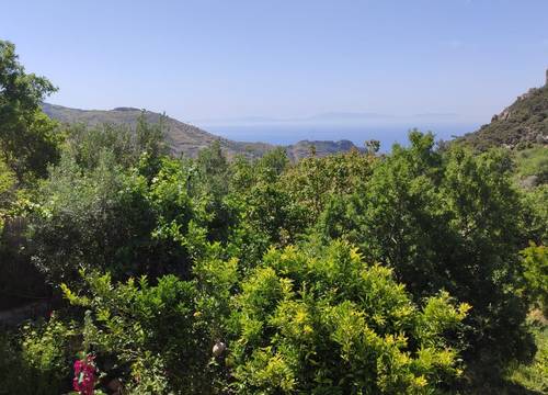 turkiye/mugla/datca/whatsappimage20240531at22.16.56285e8363f430446398eef9c64316ea6a6.jpg