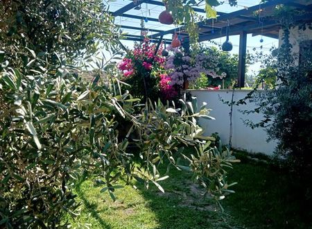 turkiye/mugla/datca/zakkum-evleri-datca_235a2eb1.jpg