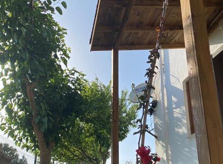 turkiye/mugla/datca/zakkum-evleri-datca_5d276b9b.jpg