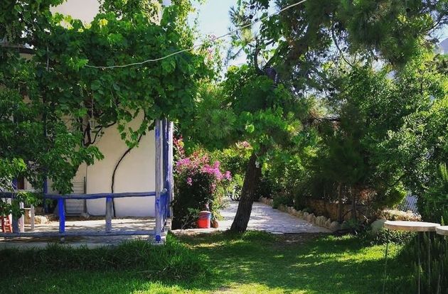 turkiye/mugla/datca/zeytin-pansiyon-ve-apart_d9469e9a.jpg