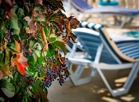 turkiye/mugla/fethiye/20181020134958villayoludivan806cce83ebe34a37bcafef34c1e531af.jpg