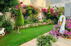 turkiye/mugla/fethiye/20210120172056villayolubride003dd246faee65a433f87211ffe252374bb.jpg