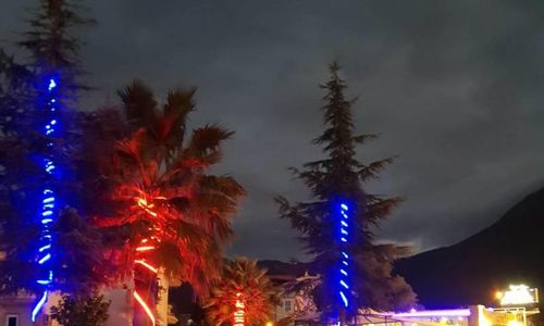turkiye/mugla/fethiye/alvina-hotel-oludeniz_46c9154e.jpg