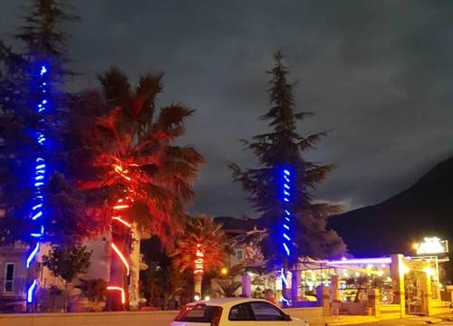 turkiye/mugla/fethiye/alvina-hotel-oludeniz_46c9154e.jpg