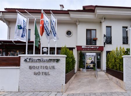 turkiye/mugla/fethiye/blueberry-boutique-hotel-e5ff433b.jpg