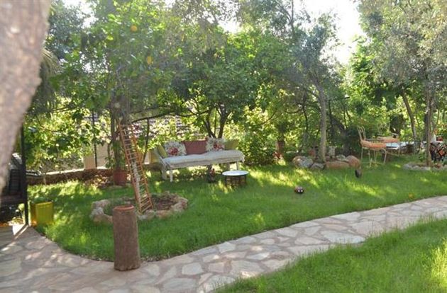 turkiye/mugla/fethiye/butterfly-guest-house-255459446.jpg