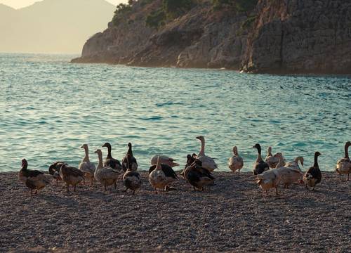 turkiye/mugla/fethiye/butterfly-valley-glamping_591da02c.jpg