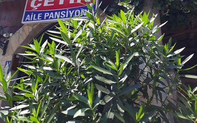 Çetin Pansiyon · 2