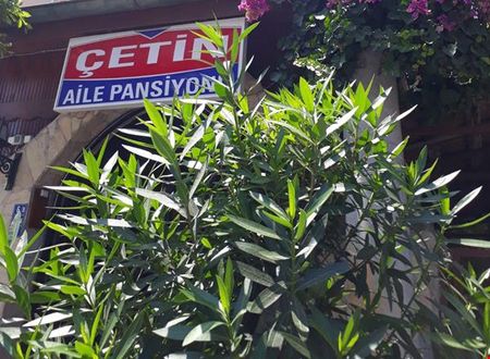 turkiye/mugla/fethiye/cetin-pansiyon_e6f11039.jpg