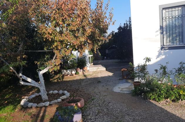 turkiye/mugla/fethiye/d40e1d747a874f89b845ffb4c464d9f02d0d94c43e084d37bcb98343bc337199.jpg
