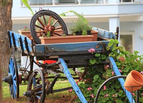 turkiye/mugla/fethiye/daisy-garden-resort-hotel-21533430.JPG