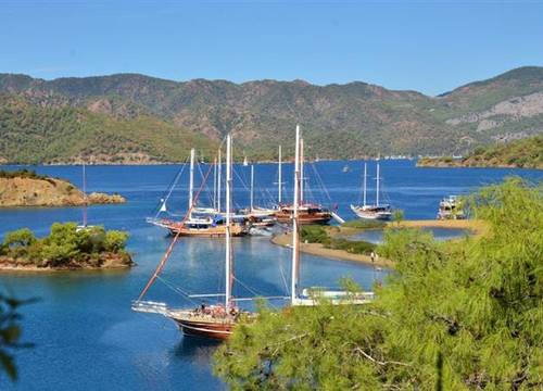 turkiye/mugla/fethiye/daisy-garden-resort-hotel-565151514.JPG