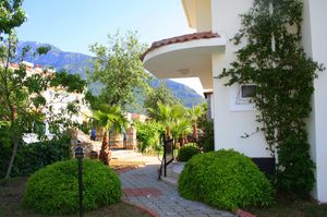turkiye/mugla/fethiye/dream-of-holiday-palm_42b09990.jpg