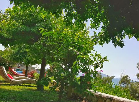 turkiye/mugla/fethiye/ece-boutique-hotel-sovalye-island_6124c1de.jpeg