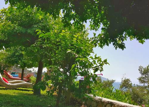 turkiye/mugla/fethiye/ece-boutique-hotel-sovalye-island_6124c1de.jpeg