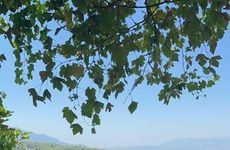 turkiye/mugla/fethiye/ece-hani-bungalow-hotel_68d9a1f6.jpg