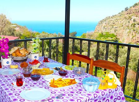 turkiye/mugla/fethiye/faralya-gul-pansiyon_2242d113.jpg