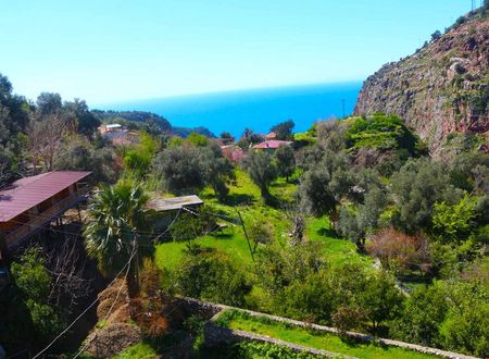 turkiye/mugla/fethiye/faralya-gul-pansiyon_a011fb32.jpg
