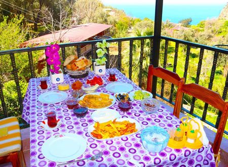 turkiye/mugla/fethiye/faralya-gul-pansiyon_d3ff8997.jpg