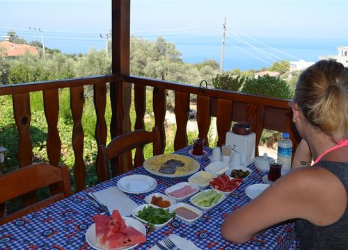 turkiye/mugla/fethiye/faralya-limon-hotel-7aac3602.jpg