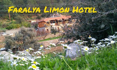 turkiye/mugla/fethiye/faralya-limon-hotel-b9552359.jpg