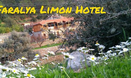 turkiye/mugla/fethiye/faralya-limon-hotel_8ab5e973.jpg