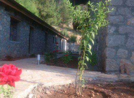 turkiye/mugla/fethiye/faralya-punica-hotel-1776267.jpg