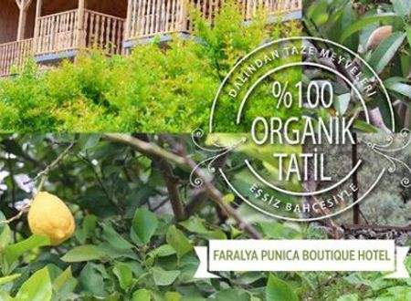 turkiye/mugla/fethiye/faralya-punica-hotel-177645l.jpg