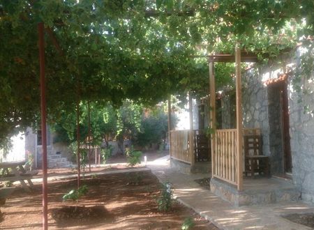 turkiye/mugla/fethiye/faralya-punica-hotel-1776562.jpg