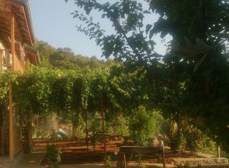 turkiye/mugla/fethiye/faralya-punica-hotel-1776574.jpg