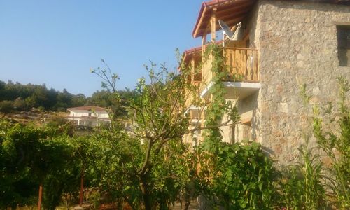 turkiye/mugla/fethiye/faralya-punica-hotel-1776595.jpg