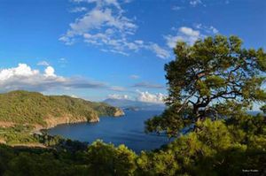 turkiye/mugla/fethiye/feryal-apart-otel-9f9fa79c.jpg